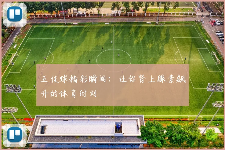 五佳球精彩瞬间：让你肾上腺素飙升的体育时刻