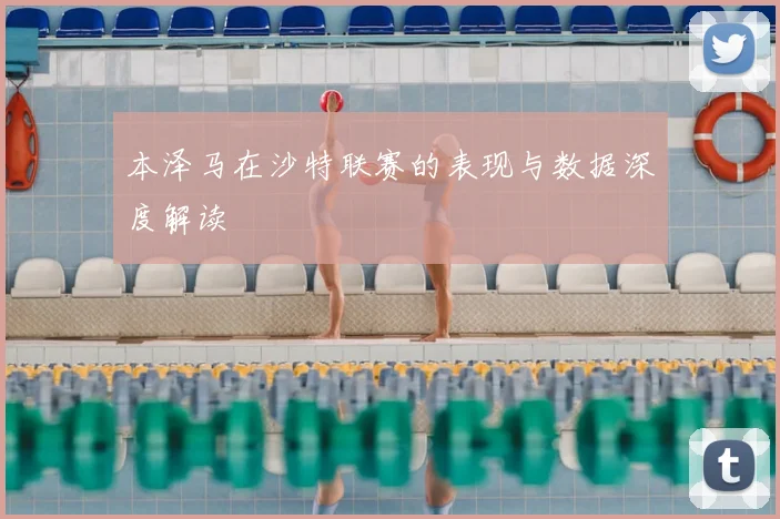本泽马在沙特联赛的表现与数据深度解读