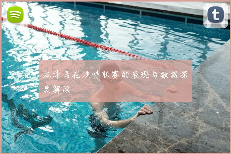 本泽马在沙特联赛的表现与数据深度解读