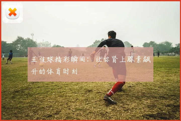 五佳球精彩瞬间：让你肾上腺素飙升的体育时刻